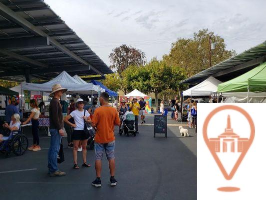 Guide to Local Markets in San José: Where to Buy Fresh Products